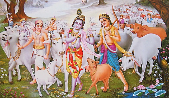 Will Krishna ever accept the milk that was meant for His dear calves? 