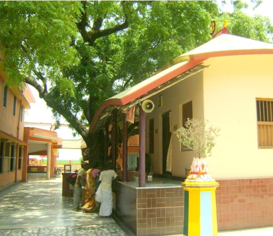 Yogapith in Sri Mayapur Navadvip dham