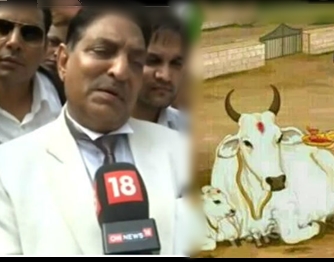 declare cow national animal, says high court justice