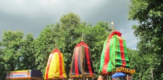 Lord Jagannath’s Rath-yatra celebrated with grandeur