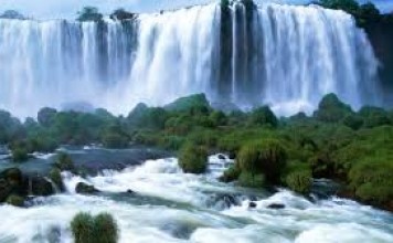 Appreciating Emotional Wisdom