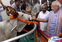 New Prime Minister of India – What to Expect