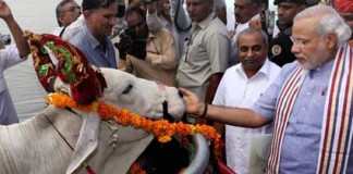 New Prime Minister of India – What to Expect