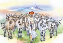 Center has the power to shut down slaughter houses: UP govt