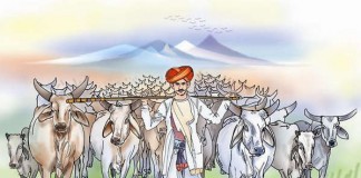 Center has the power to shut down slaughter houses: UP govt