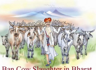 Center has the power to shut down slaughter houses: UP govt