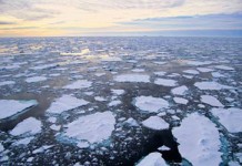 Year 2014: Hottest year ever?