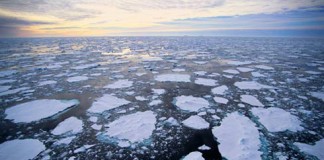 Year 2014: Hottest year ever?