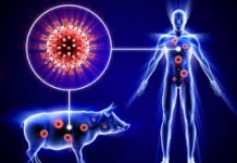 Swine Flu – Ayurvedic viewpoint and cure