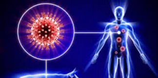 Swine Flu – Ayurvedic viewpoint and cure