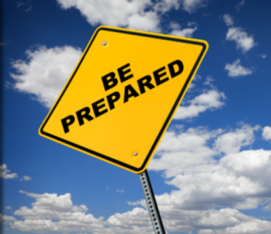 List of must carry Ayurvedic medicines for a smart traveller