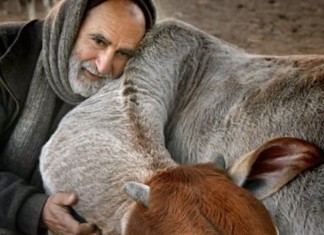 Sriman Kurmarupa prabhu leaves body in Sri Vrindavan dham