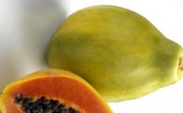 Counter obesity the Ayurveda way