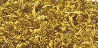 Archaeologists baffled again – 2,000 Tiny Gold Spirals Discovered
