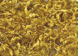 Archaeologists baffled again – 2,000 Tiny Gold Spirals Discovered
