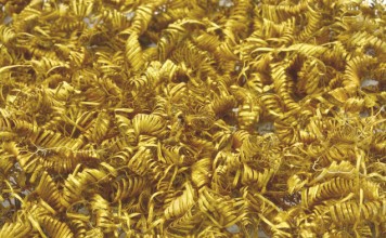Archaeologists baffled again – 2,000 Tiny Gold Spirals Discovered