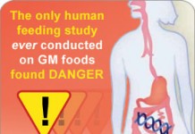 High rising National pride but Narendra Modi needs to hold his horses