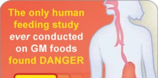 High rising National pride but Narendra Modi needs to hold his horses