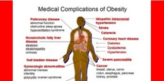 Why obesity in US keeps rising despite so-called healthy diets