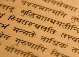 Increasing importance to Sanskrit language will help humanity