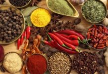 Understanding Kapha dosha in Ayurveda