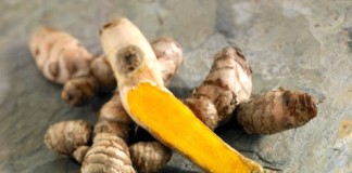 Turmeric re-emerges as an excellent multipurpose medicinal herb
