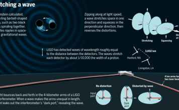 Evidence of gravitational waves predicted by Einstein found