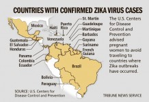 Zika virus – Symptoms, Diagnosis and Treatment