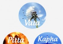Understanding a dosha in Ayurveda