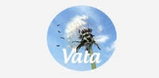 Understanding a dosha in Ayurveda