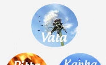 Understanding a dosha in Ayurveda