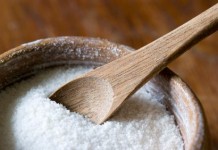 The Salty Taste in Ayurveda