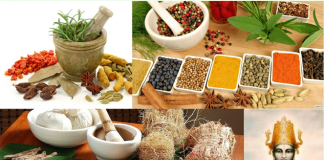 Ayurvedic drugs make a breakthrough – Substitute Antibiotics during surgery