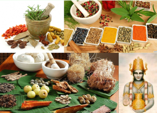 Ayurvedic drugs make a breakthrough – Substitute Antibiotics during surgery