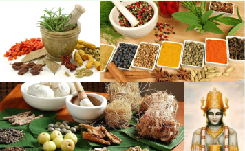 Ayurvedic drugs make a breakthrough – Substitute Antibiotics during surgery