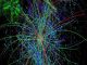 Will the Large Hadron Collider Find the Unknown Anti-physics Particle?