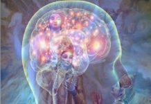 Latest research on Forgetfulness links to Bhagavad Gita