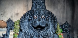 Half-Lion Half-Man form appears! Devotees offer worship to Sri Narasimha