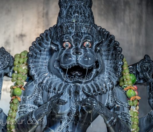 Half-Lion Half-Man form appears! Devotees offer worship to Sri Narasimha