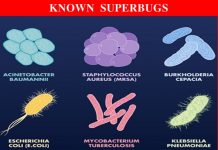 Antibacterial resistance – Superbugs could kill every 3 seconds by 2050