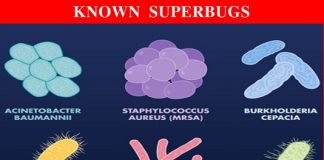 Antibacterial resistance – Superbugs could kill every 3 seconds by 2050