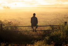 Serious about Happiness? This information can change your life