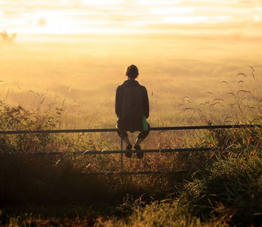 Serious about Happiness? This information can change your life