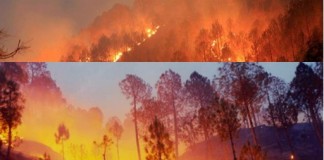 Uttarakhand forest fires – Choppers return due to poor visibility