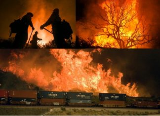 What caused the devastating California wildfire? 15000 acres engulfed in less than 10 hours
