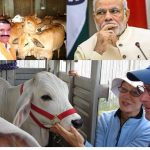 Cow protection and the vigilantes – What’s there in PM Modi’s mind?