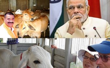 Cow protection and the vigilantes – What’s there in PM Modi’s mind?
