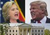 Both flawed but Clinton leads Trump by 10 points | Fox News Poll