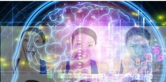 Researchers get closer to Varnashrama dharma concept