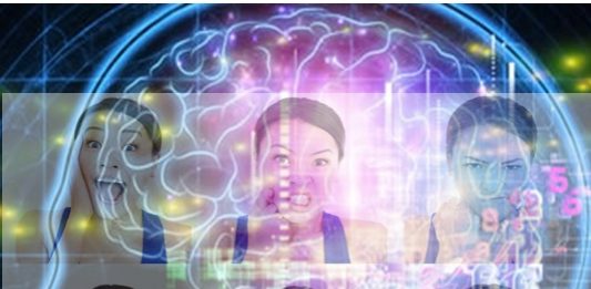 Researchers get closer to Varnashrama dharma concept